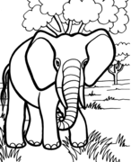 Free Printable Coloring Pages For Kids | Safer Search
