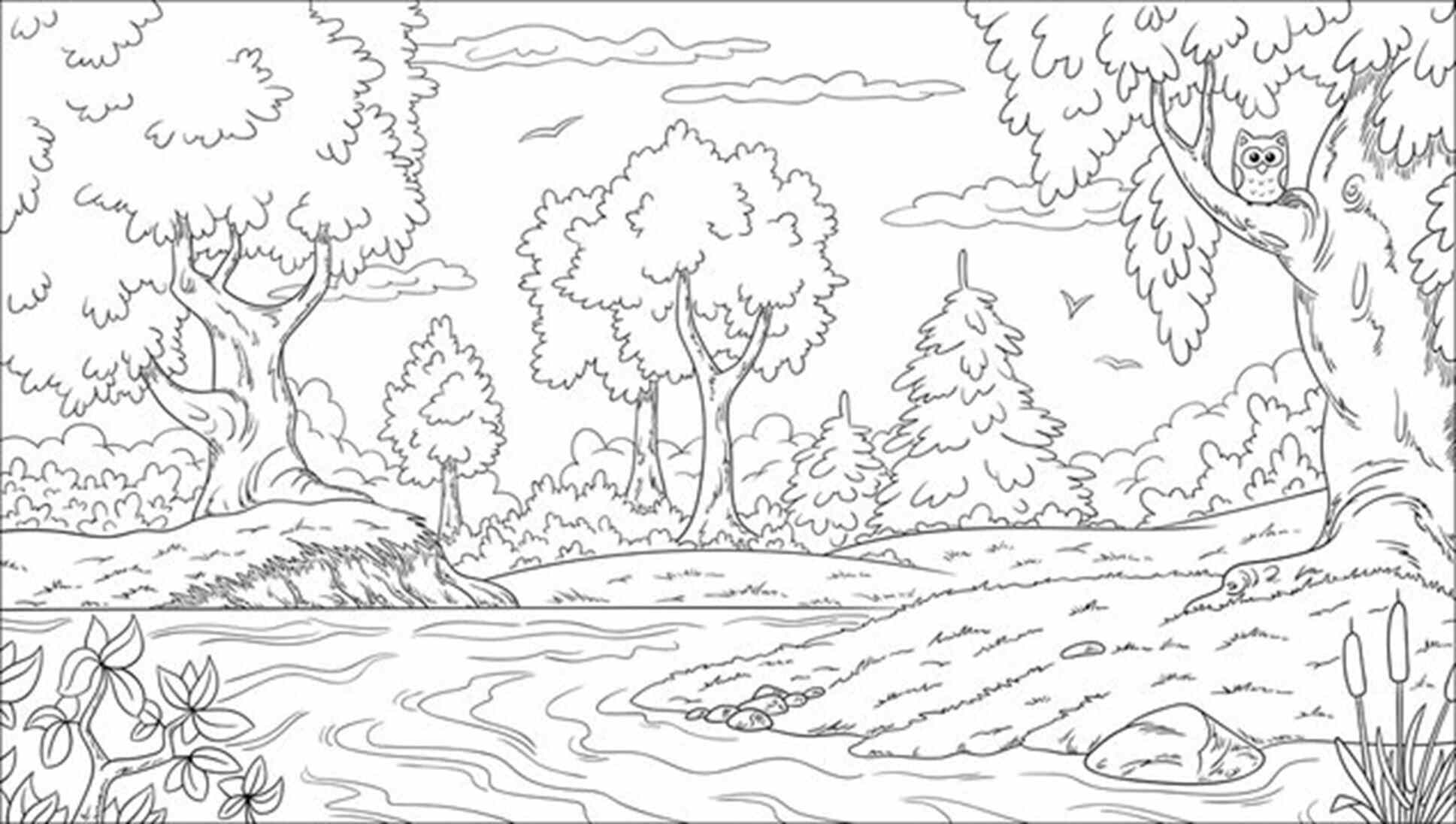 Nature and Wildlife Coloring Page