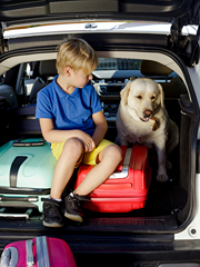 A boy and his dog sit with luggage in the back of a vehicle.