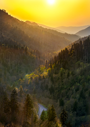 Yellow sun and sky over the Smoky Mountains in Tennessee.