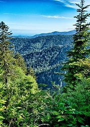 Breathing taking view of the Smoky Mountains from up high.