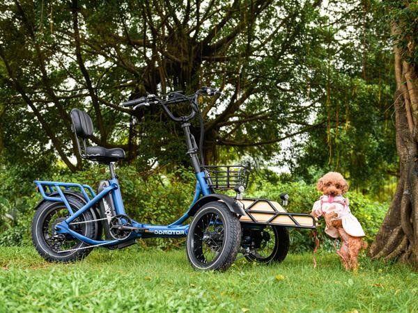 Family dog with front paws on Addmotor Spytan eTrike.