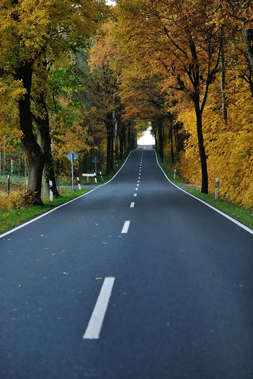 An scenic country road lays ahead.